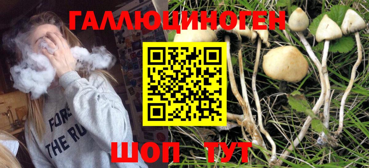 Коломна  Псилоцибиновые грибы мицелий  Вход с VPN 